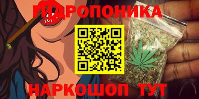 a pvp Кинель