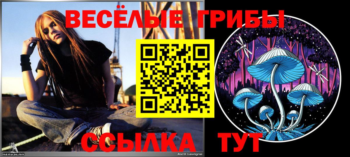 Кудрово  Галлюциногенные грибы прущие грибы  Галлюциногенные грибы прущие грибы  Вход с VPN 